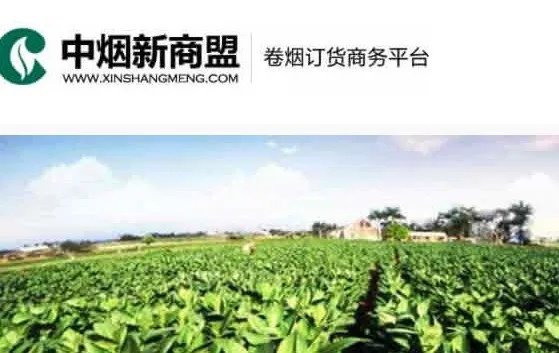 新商盟香烟订烟平台，一站式便捷登录与订购服务-第2张图片-香烟批发平台